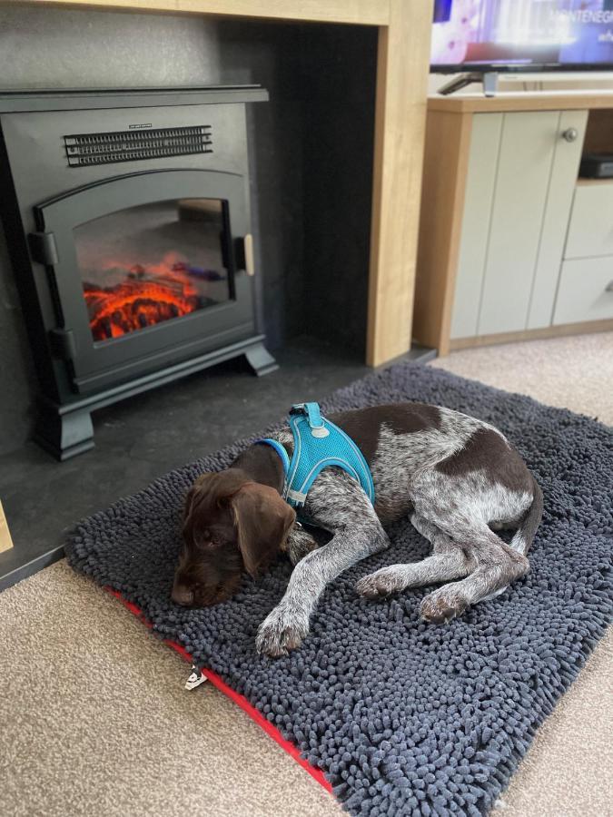 Caorann Lodge, 205 Tummel Valley Pitlochry Ngoại thất bức ảnh
